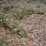 Neolityczny grób w formie półksiężyca