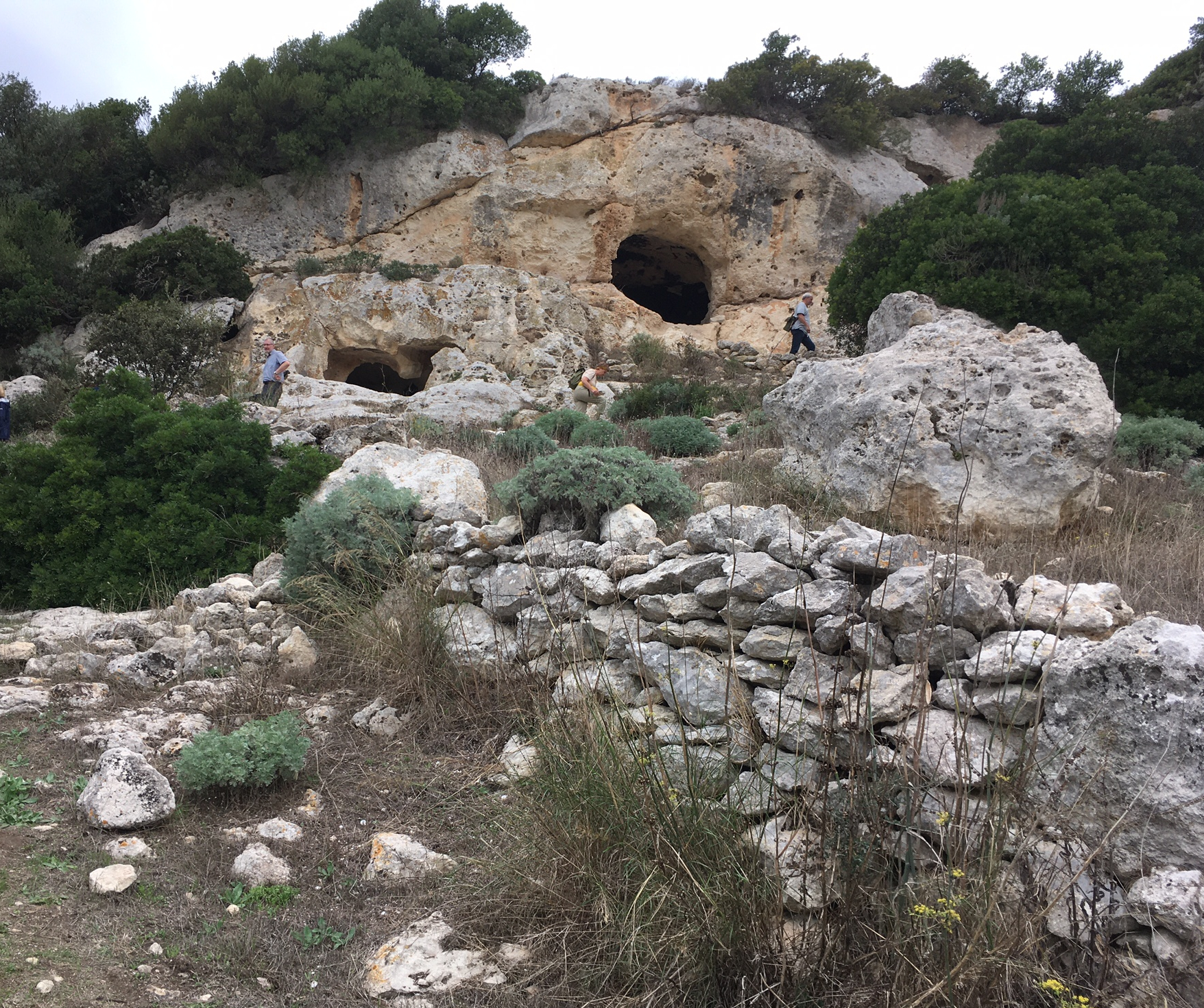 Domus de Janas koło Ossi
